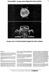 Longines 1964 7.jpg